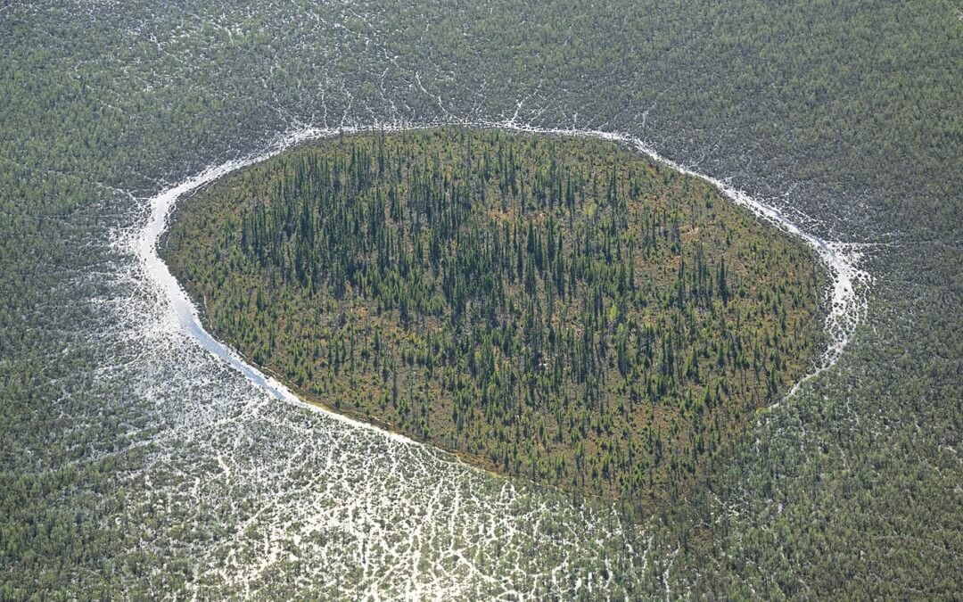 Muskeg Forest Island